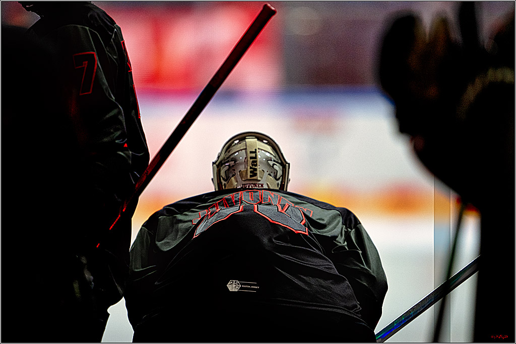 PENNY DEL 1 - Playoff Halbfinale - Kölner Haie - Eisbären Berlin; Köln, 15.04.2026