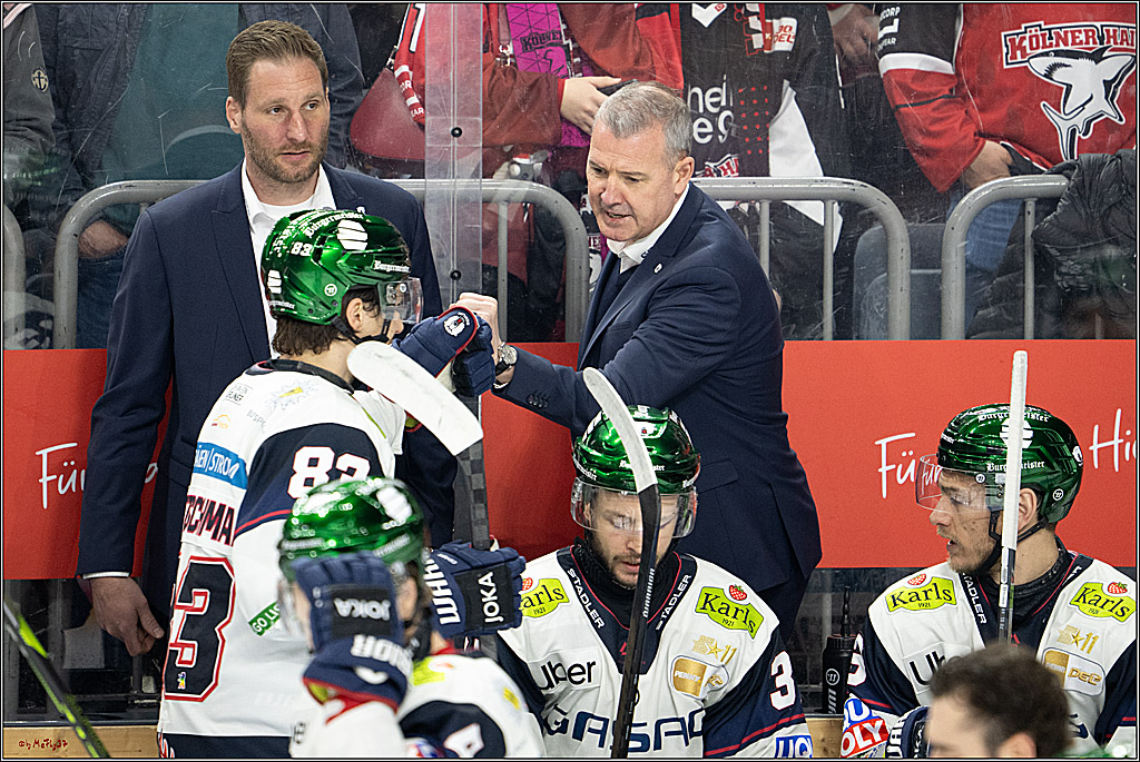 PENNY DEL 1 - Playoff Halbfinale - Kölner Haie - Eisbären Berlin; Köln, 15.04.2026