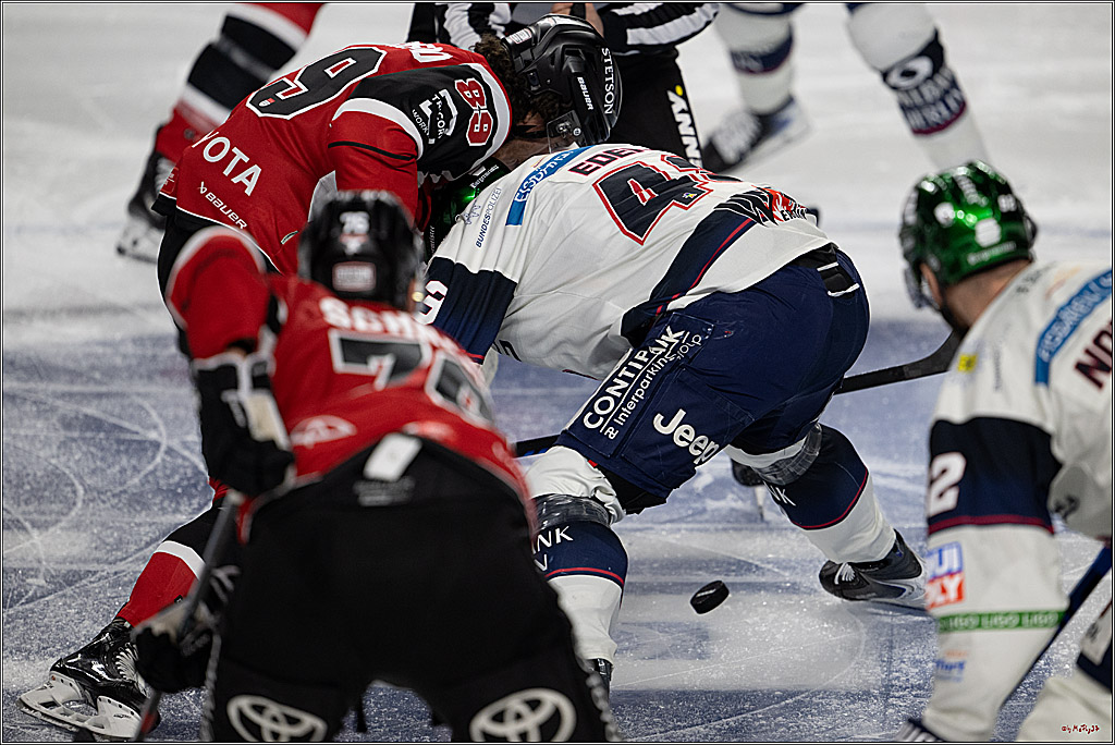 PENNY DEL 1 - Playoff Halbfinale - Kölner Haie - Eisbären Berlin; Köln, 15.04.2026