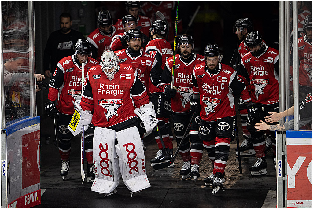 PENNY DEL 1 - Playoff Halbfinale - Kölner Haie - Eisbären Berlin; Köln, 15.04.2026