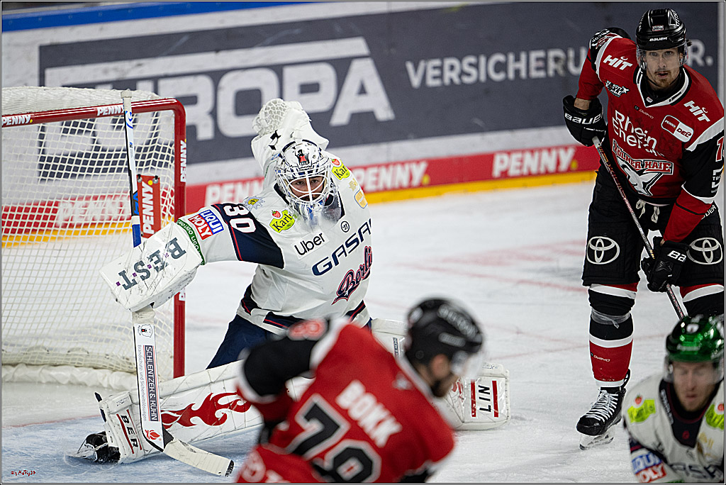 PENNY DEL 1 - Playoff Halbfinale - Kölner Haie - Eisbären Berlin; Köln, 15.04.2026