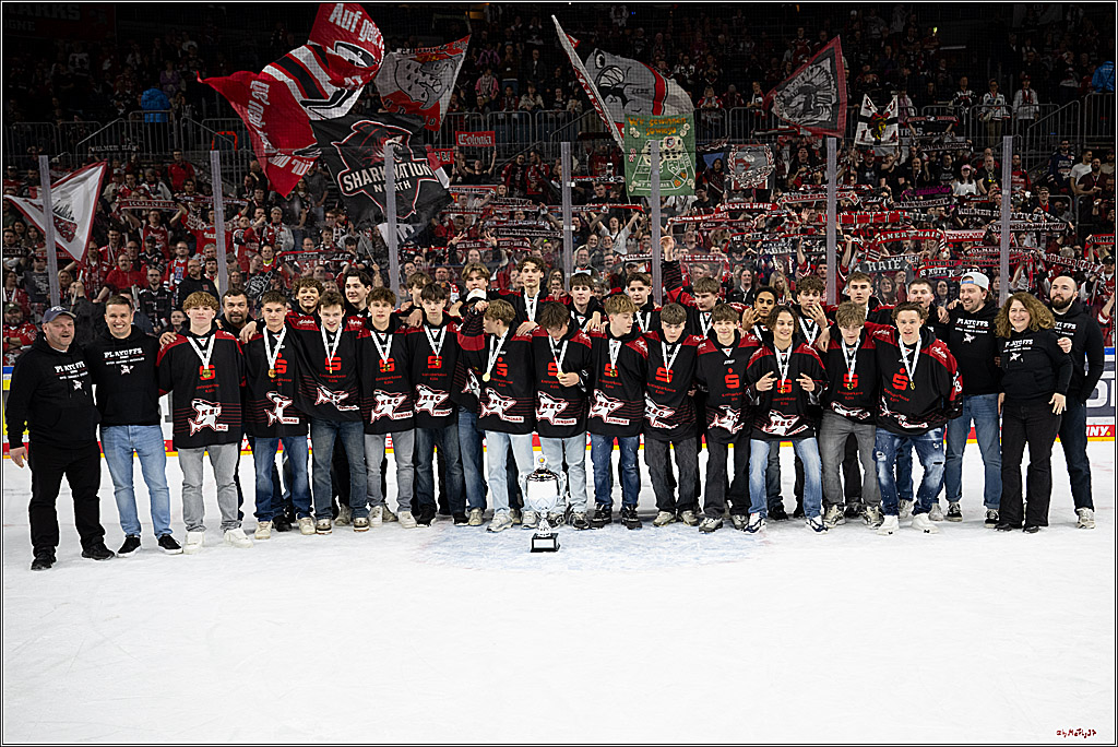 PENNY DEL 1 - Playoff Halbfinale - Kölner Haie - Eisbären Berlin; Köln, 15.04.2026