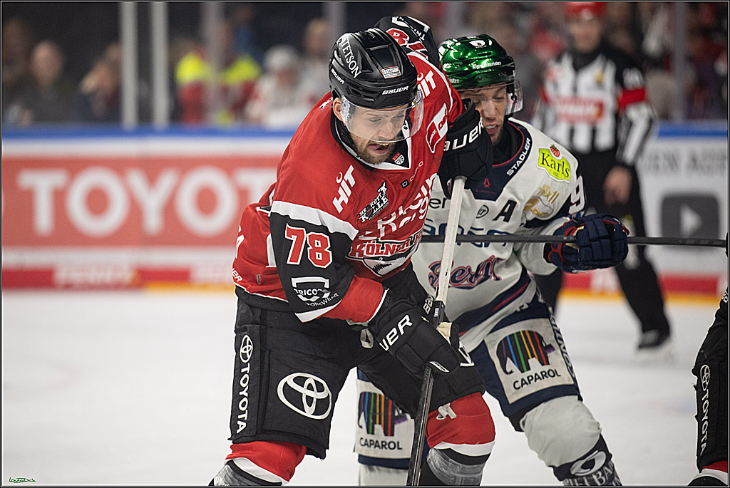 PENNY DEL 1 - Playoff Halbfinale - Kölner Haie - Eisbären Berlin; Köln, 15.04.2026