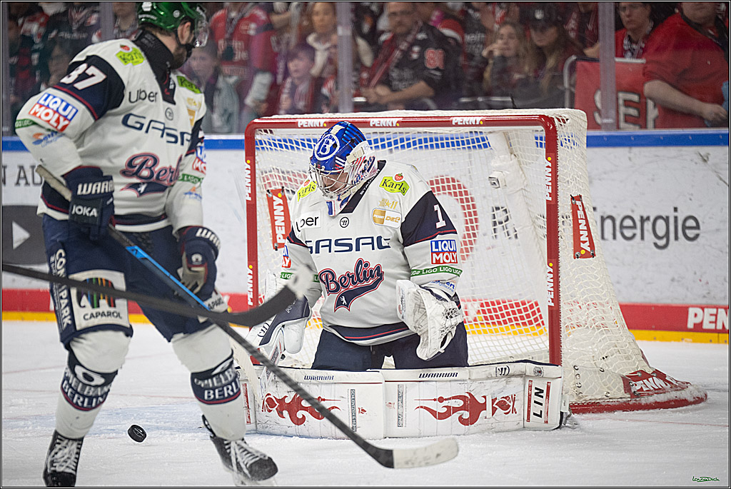 PENNY DEL 1 - Playoff Halbfinale - Kölner Haie - Eisbären Berlin; Köln, 15.04.2026