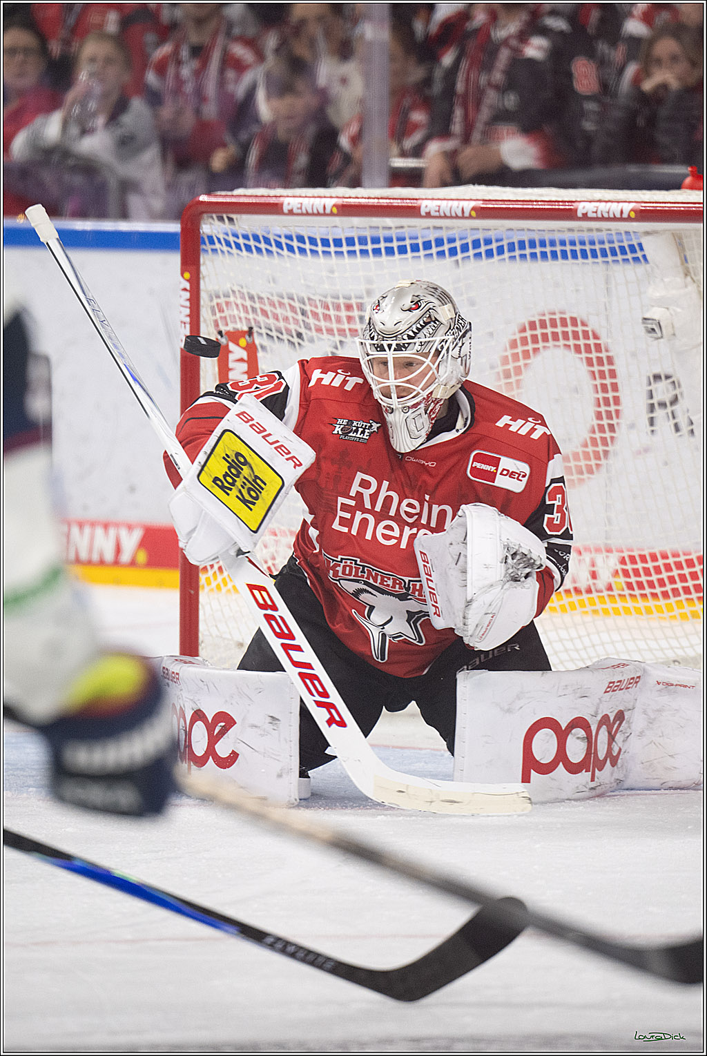PENNY DEL 1 - Playoff Halbfinale - Kölner Haie - Eisbären Berlin; Köln, 15.04.2026