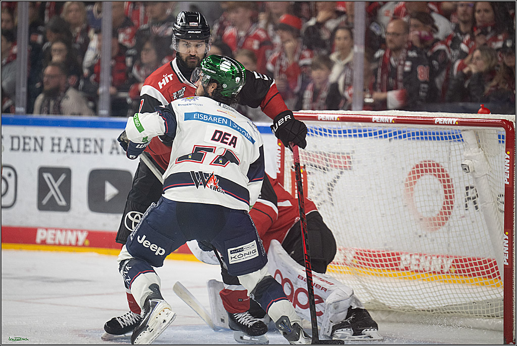 PENNY DEL 1 - Playoff Halbfinale - Kölner Haie - Eisbären Berlin; Köln, 15.04.2026
