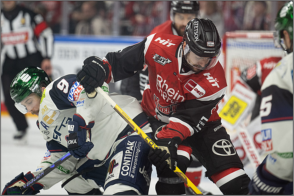 PENNY DEL 1 - Playoff Halbfinale - Kölner Haie - Eisbären Berlin; Köln, 15.04.2026