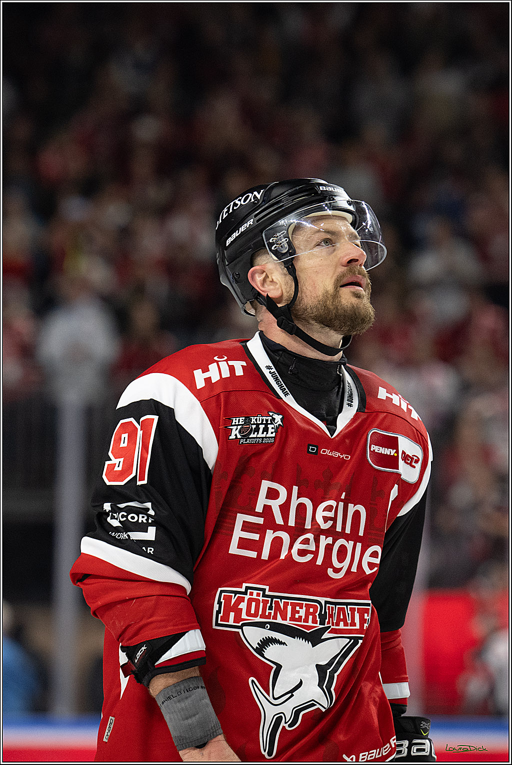 PENNY DEL 1 - Playoff Halbfinale - Kölner Haie - Eisbären Berlin; Köln, 15.04.2026