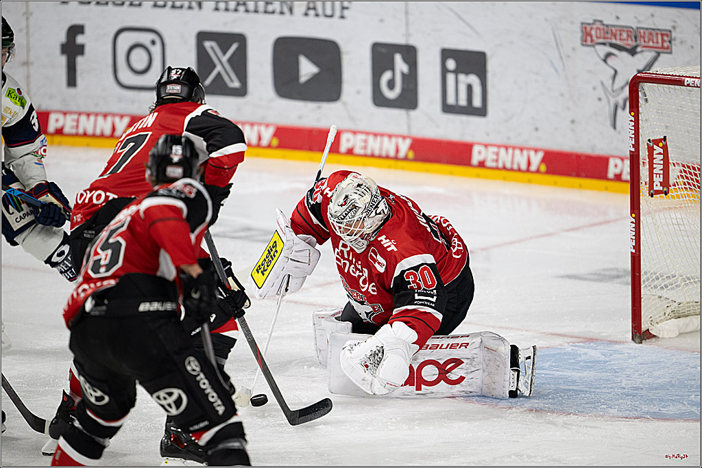 PENNY DEL 1 - Playoff Halbfinale - Kölner Haie - Eisbären Berlin; Köln, 20.04.2026