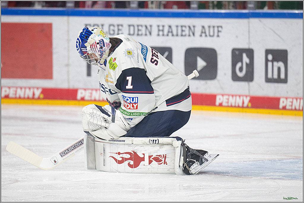 PENNY DEL 1 - Playoff Halbfinale - Kölner Haie - Eisbären Berlin; Köln, 20.04.2026