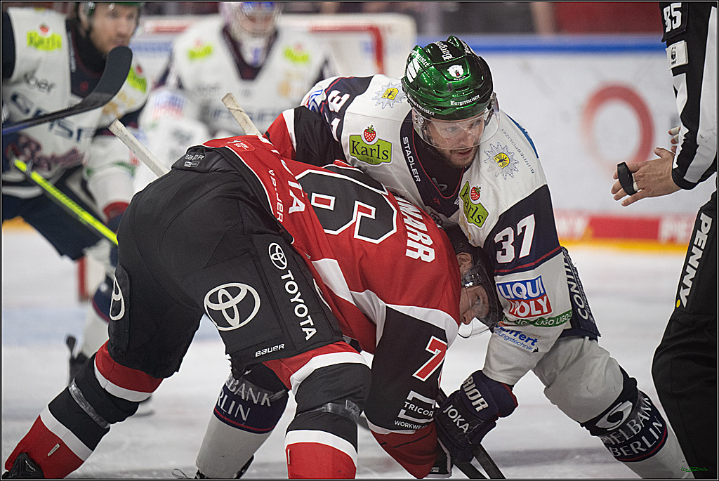 PENNY DEL 1 - Playoff Halbfinale - Kölner Haie - Eisbären Berlin; Köln, 20.04.2026