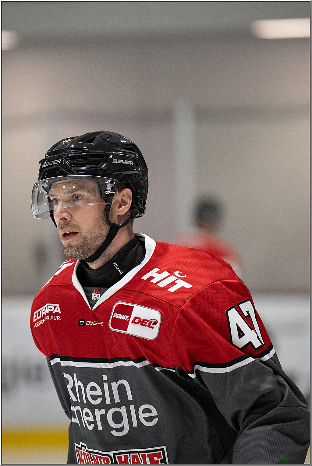 PENNY DEL 1; 1. Testspiel Kölner Haie - Iserlohn Roosters; Köln, 14.08.2026