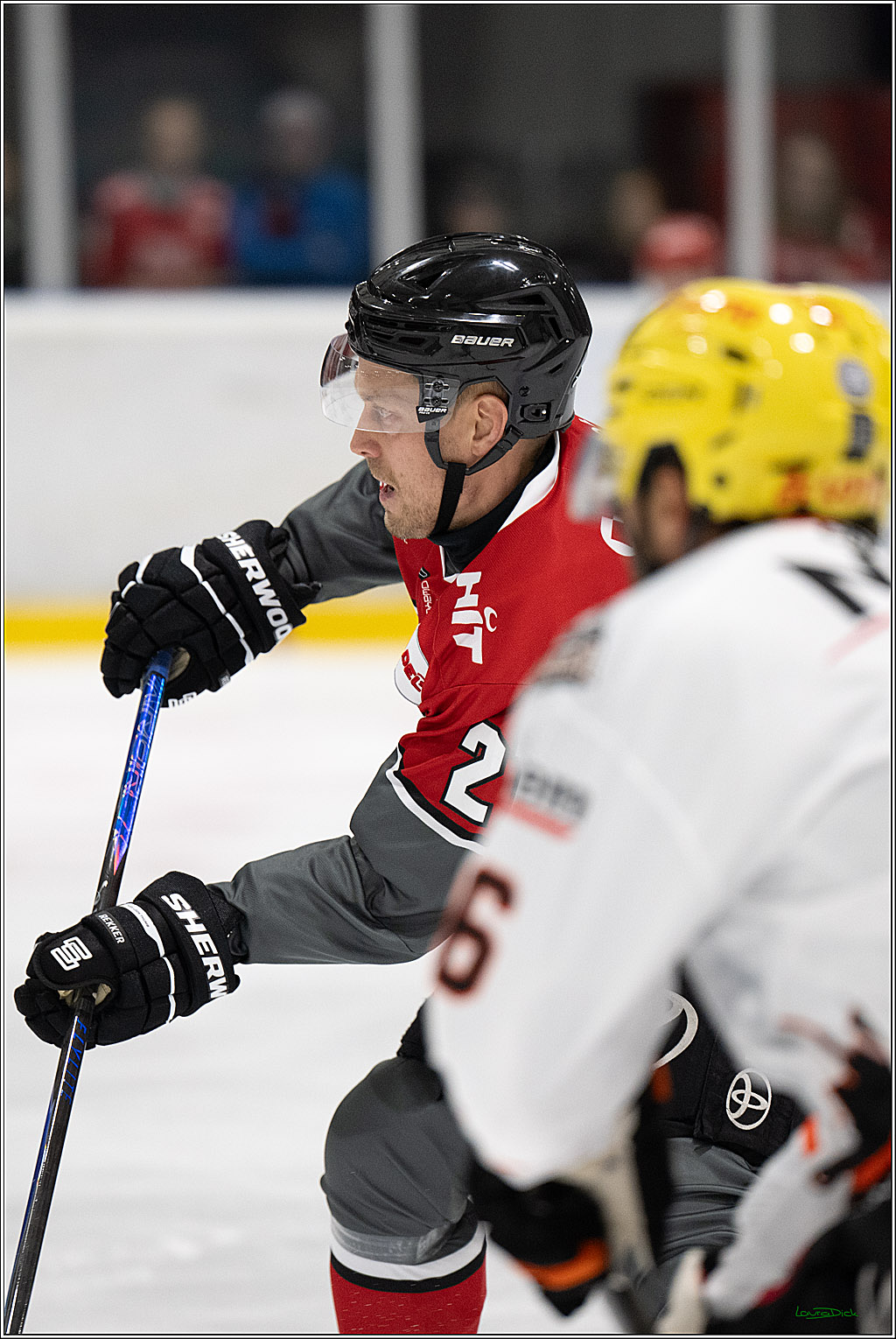 PENNY DEL 1; 1. Testspiel Kölner Haie - Löwen Frankfurt; Köln, 28.08.2026