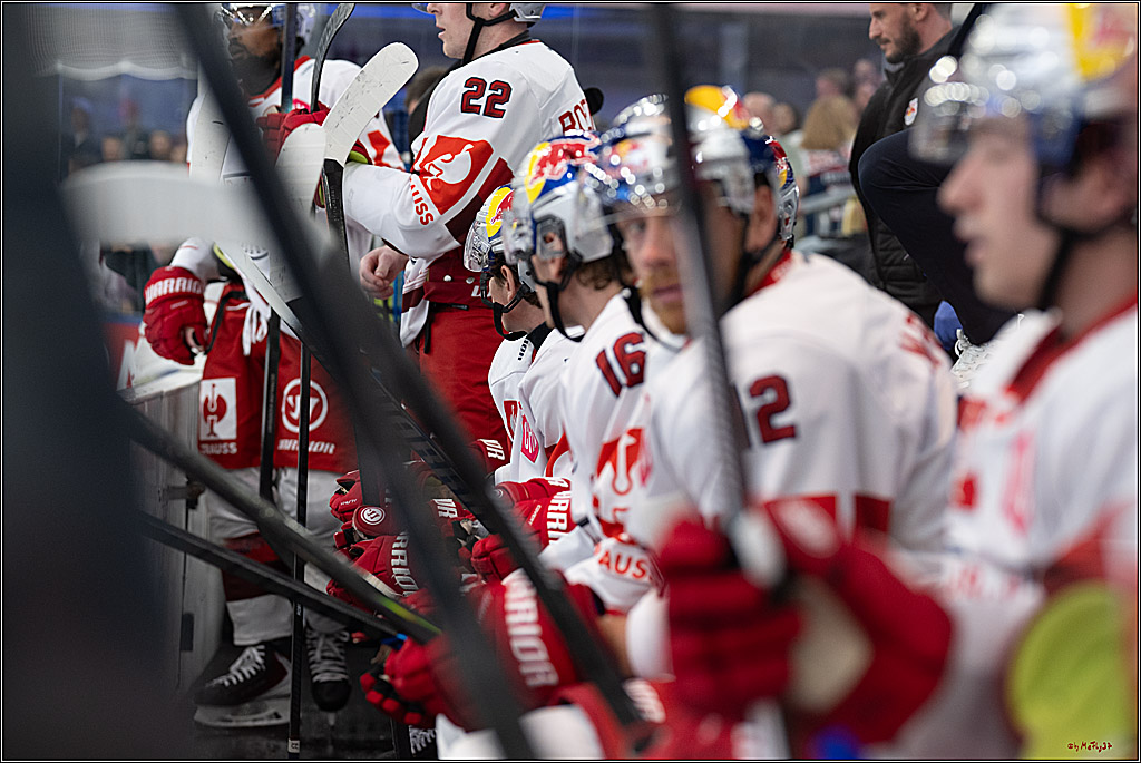 CHL Vorrunde - Red Bull Salzburg - Kölner Haie; Salzburg, 03.09.2026