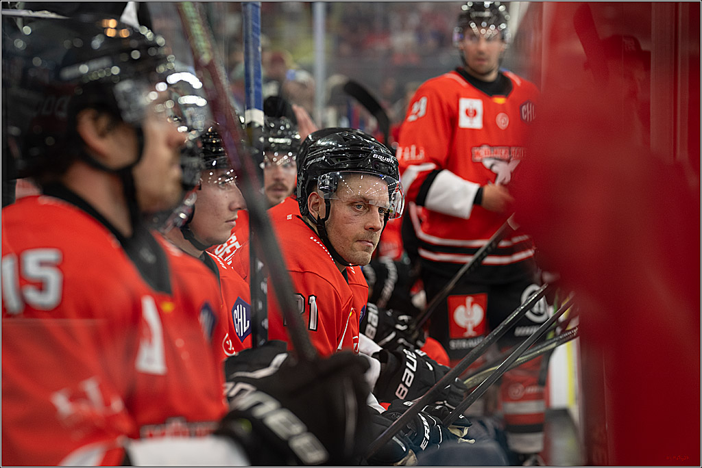 CHL Vorrunde - Red Bull Salzburg - Kölner Haie; Salzburg, 03.09.2026