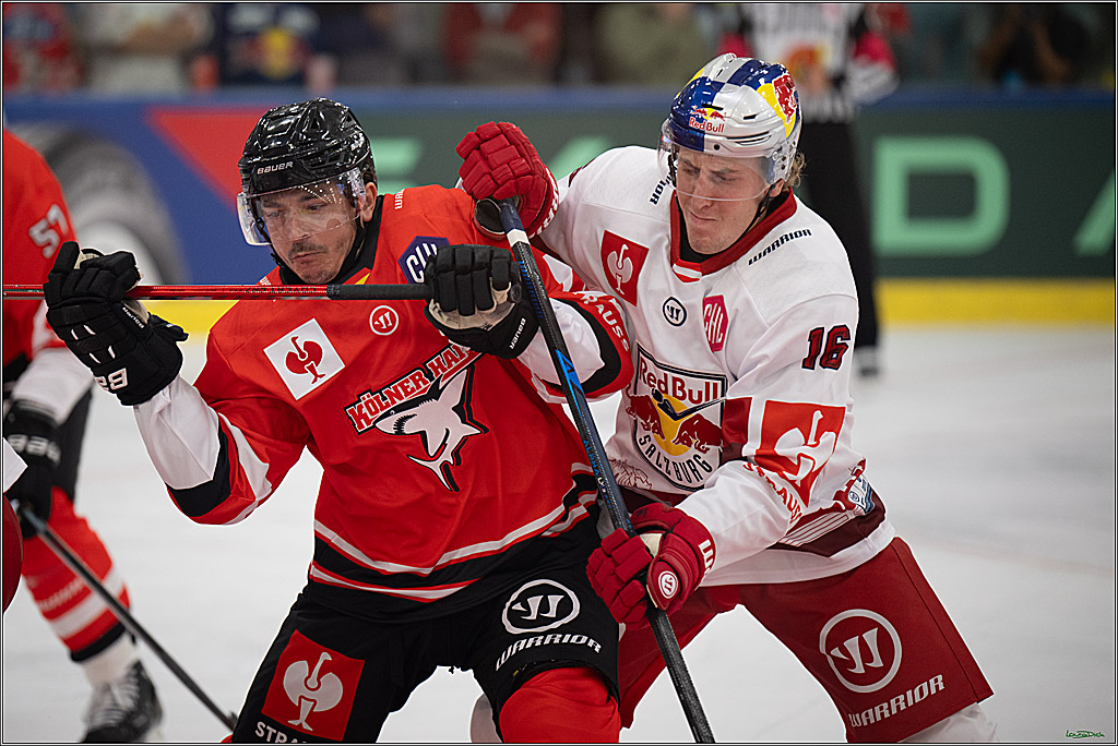 CHL Vorrunde - Red Bull Salzburg - Kölner Haie; Salzburg, 03.09.2026