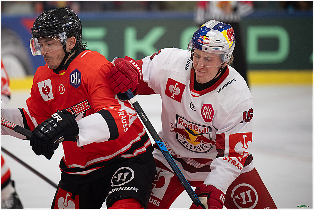CHL Vorrunde - Red Bull Salzburg - Kölner Haie; Salzburg, 03.09.2026