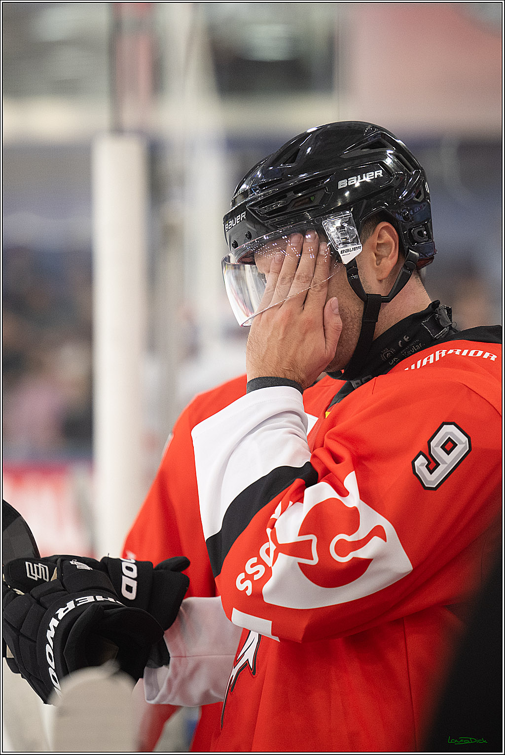 CHL Vorrunde - Red Bull Salzburg - Kölner Haie; Salzburg, 03.09.2026