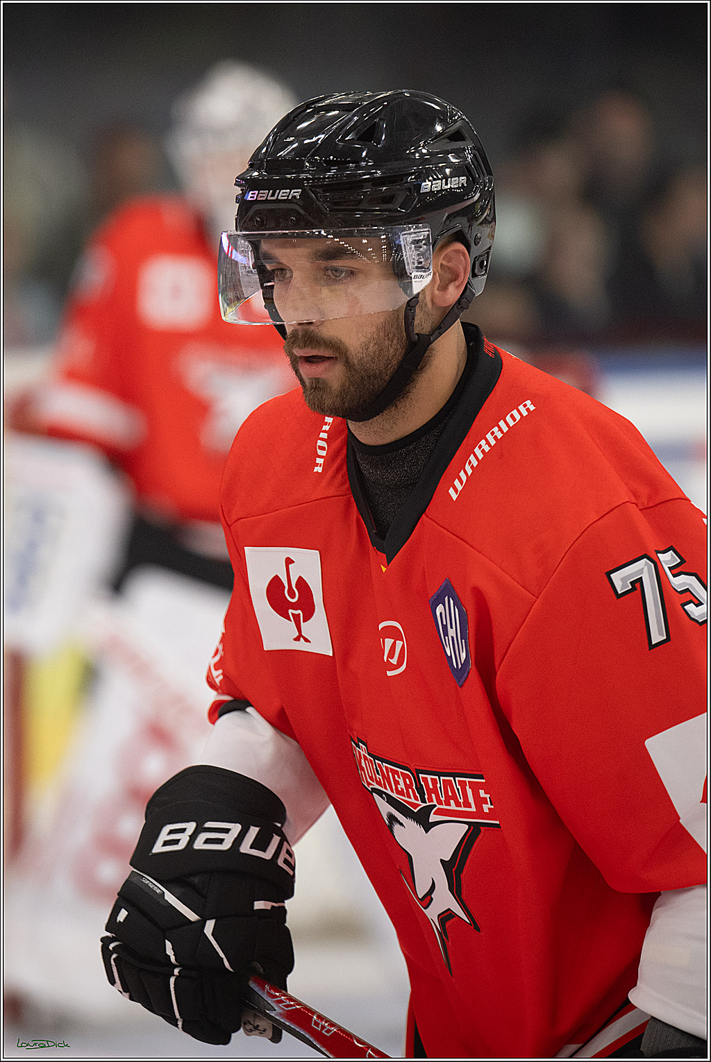 CHL Vorrunde - Red Bull Salzburg - Kölner Haie; Salzburg, 03.09.2026