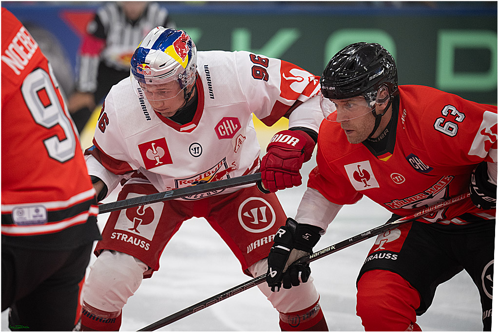 CHL Vorrunde - Red Bull Salzburg - Kölner Haie; Salzburg, 03.09.2026