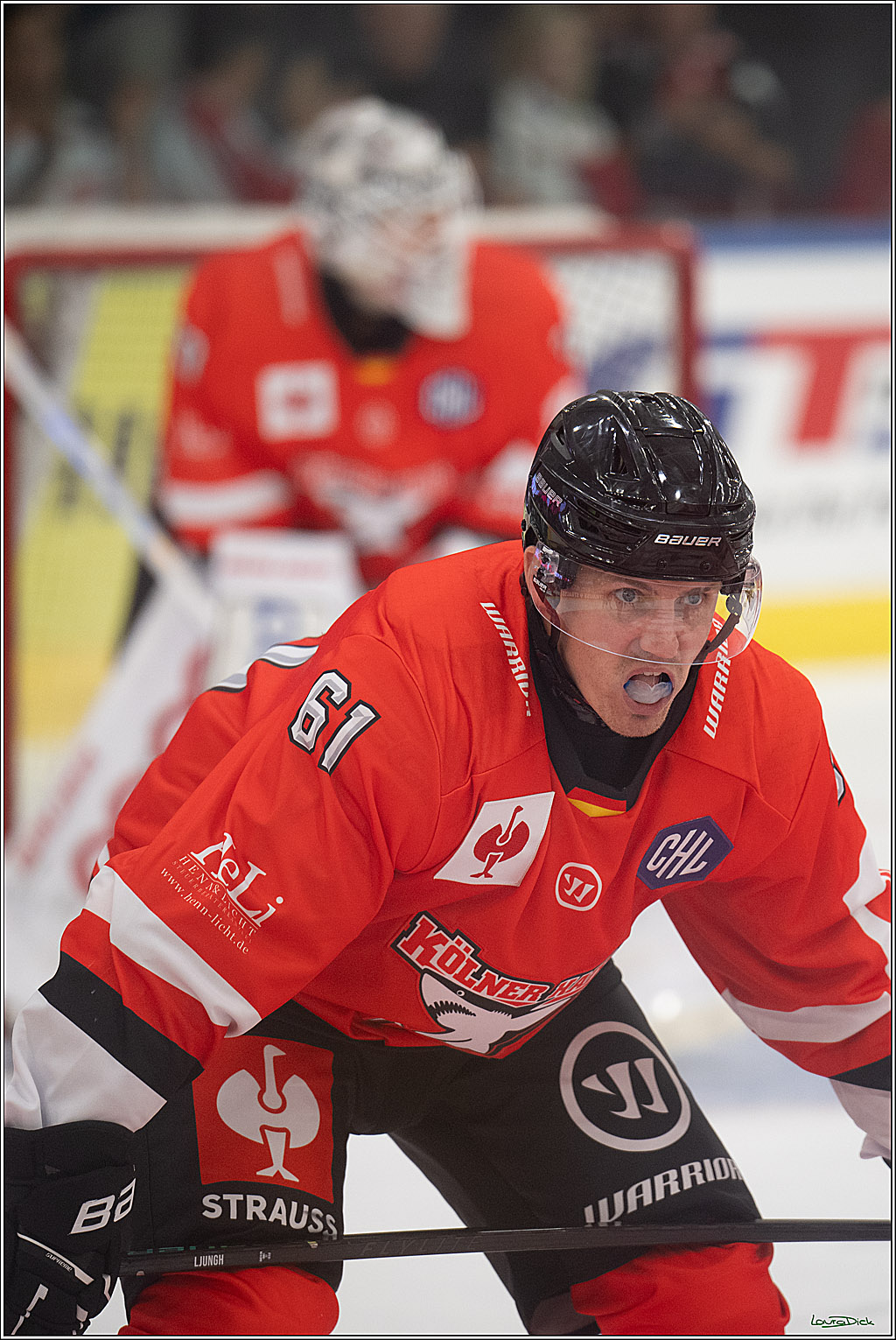 CHL Vorrunde - Red Bull Salzburg - Kölner Haie; Salzburg, 03.09.2026