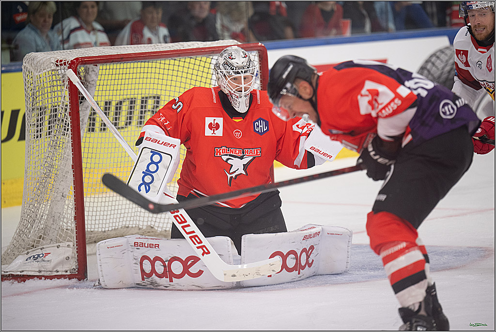 CHL Vorrunde - Red Bull Salzburg - Kölner Haie; Salzburg, 03.09.2026