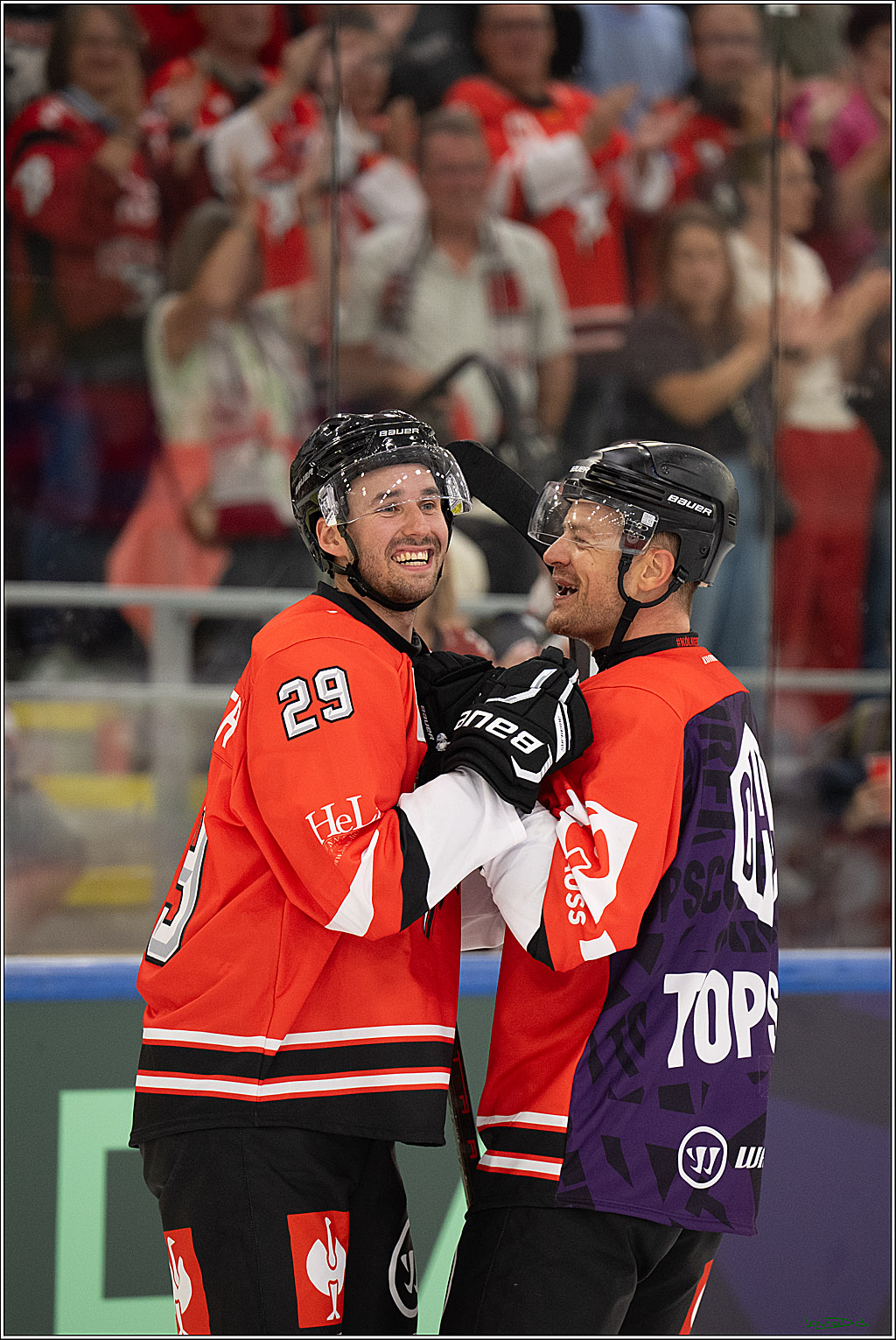CHL Vorrunde - Red Bull Salzburg - Kölner Haie; Salzburg, 03.09.2026