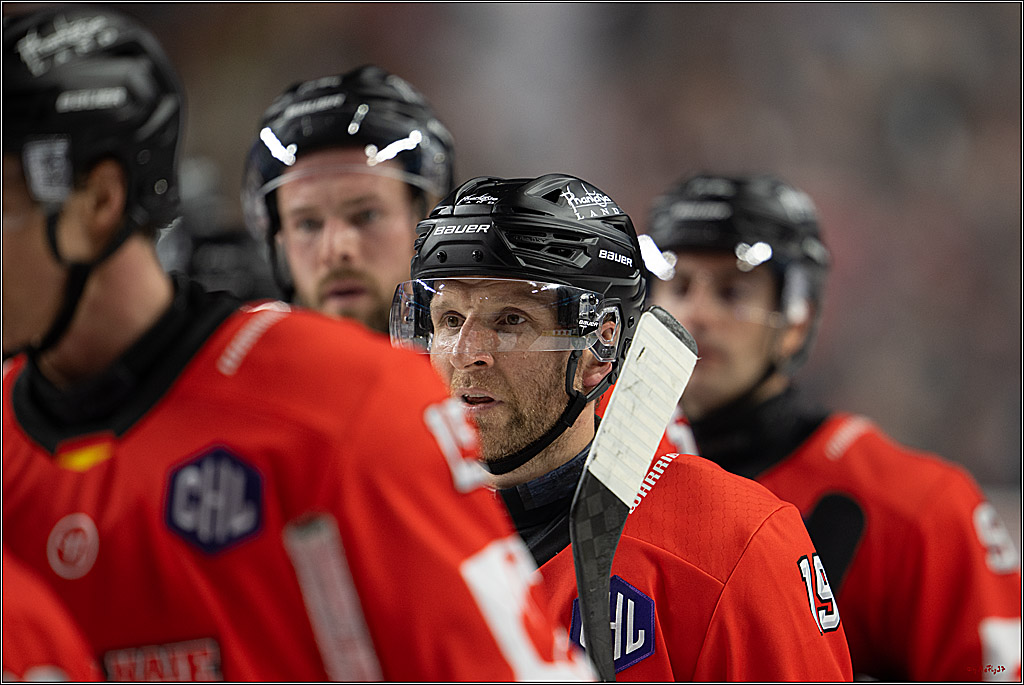 CHL Vorrunde; Kölner Haie - Frölunda HC; Köln, 10.09.2026