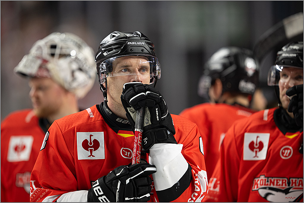 CHL Vorrunde; Kölner Haie - Frölunda HC; Köln, 10.09.2026
