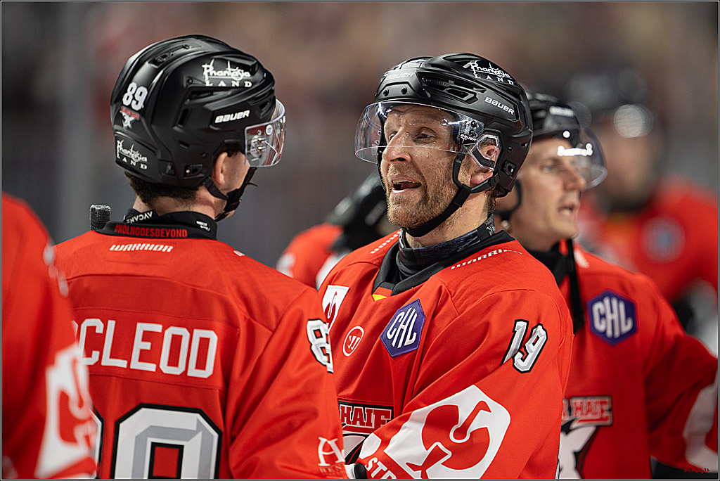 CHL Vorrunde; Kölner Haie - Frölunda HC; Köln, 10.09.2026
