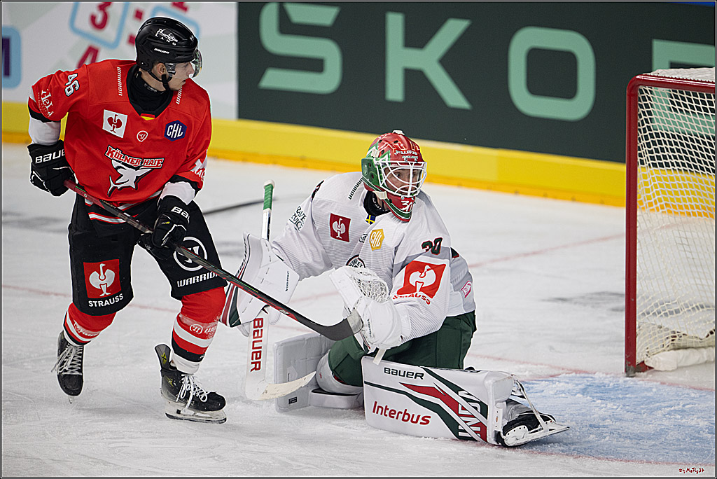 CHL Vorrunde; Kölner Haie - Frölunda HC; Köln, 10.09.2026
