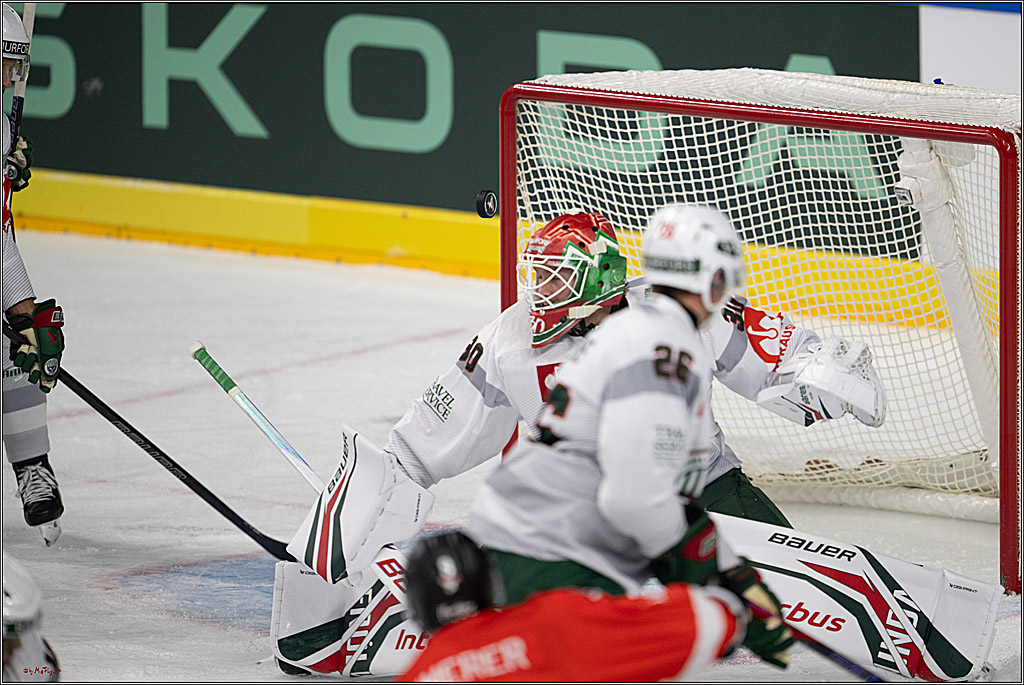 CHL Vorrunde; Kölner Haie - Frölunda HC; Köln, 10.09.2026