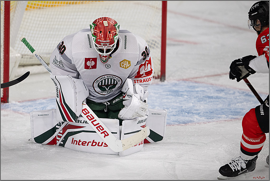 CHL Vorrunde; Kölner Haie - Frölunda HC; Köln, 10.09.2026