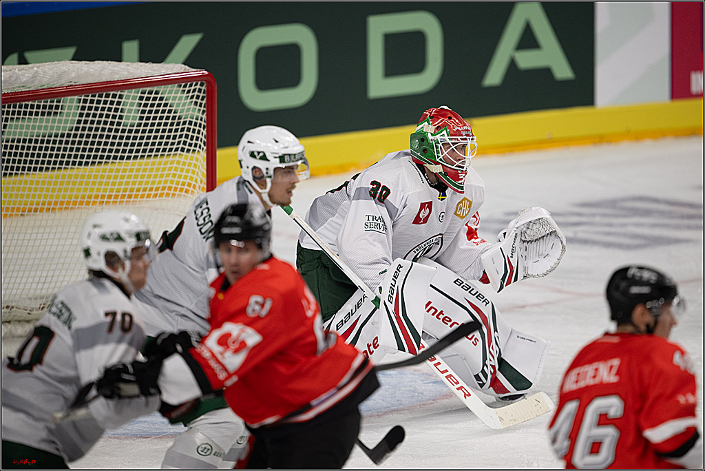 CHL Vorrunde; Kölner Haie - Frölunda HC; Köln, 10.09.2026