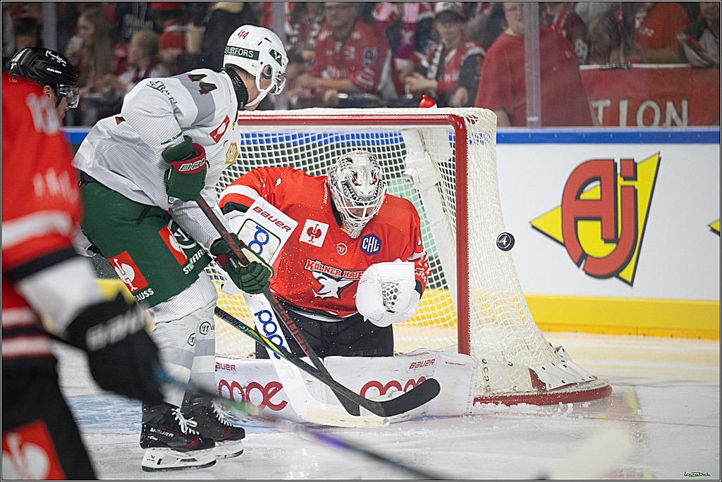 CHL Vorrunde; Kölner Haie - Frölunda HC; Köln, 10.09.2026