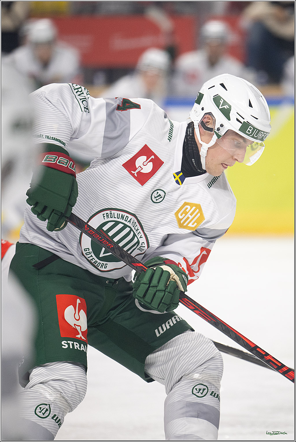 CHL Vorrunde; Kölner Haie - Frölunda HC; Köln, 10.09.2026