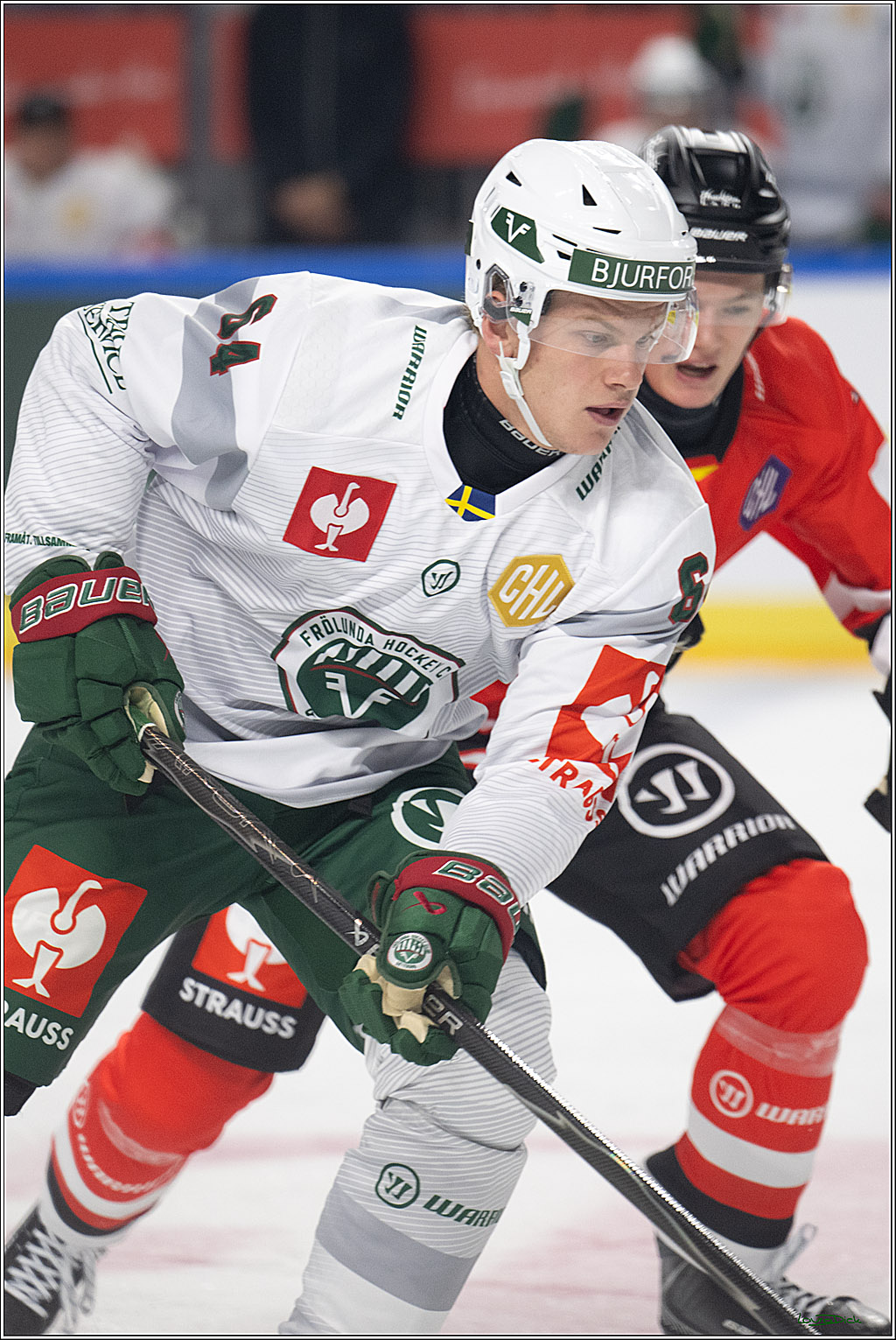 CHL Vorrunde; Kölner Haie - Frölunda HC; Köln, 10.09.2026