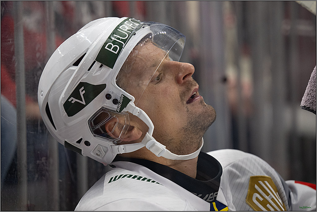 CHL Vorrunde; Kölner Haie - Frölunda HC; Köln, 10.09.2026