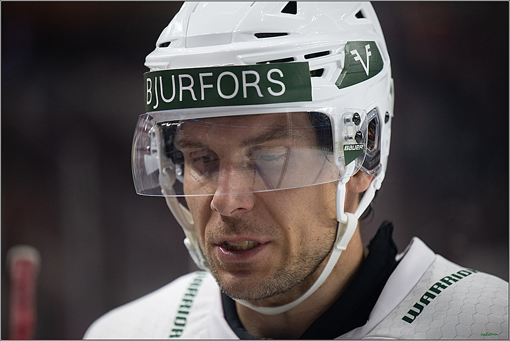 CHL Vorrunde; Kölner Haie - Frölunda HC; Köln, 10.09.2026