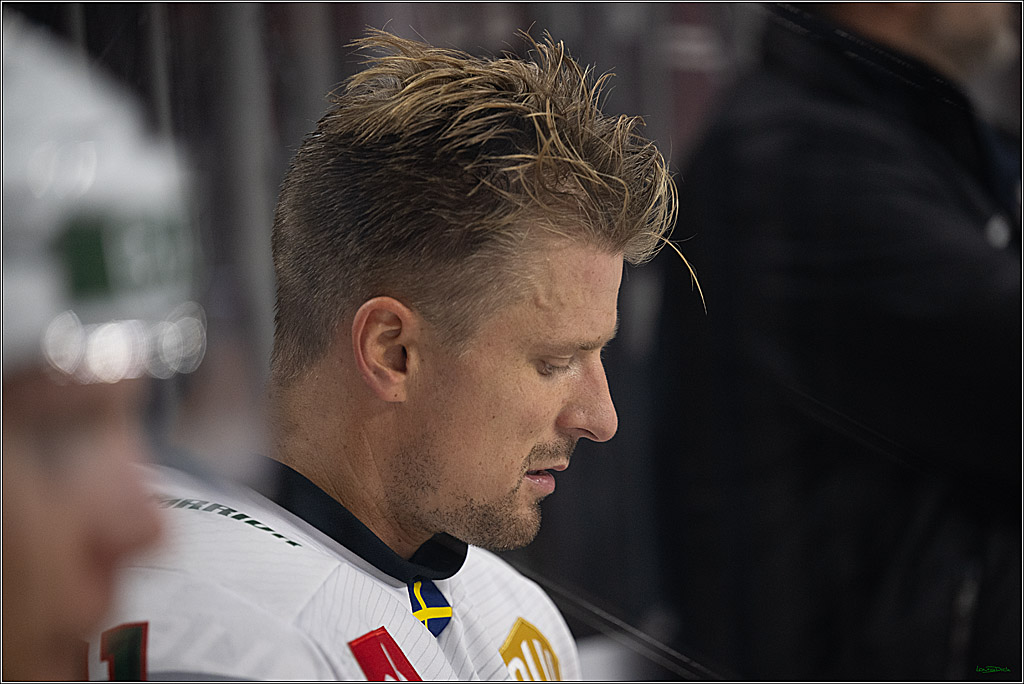 CHL Vorrunde; Kölner Haie - Frölunda HC; Köln, 10.09.2026