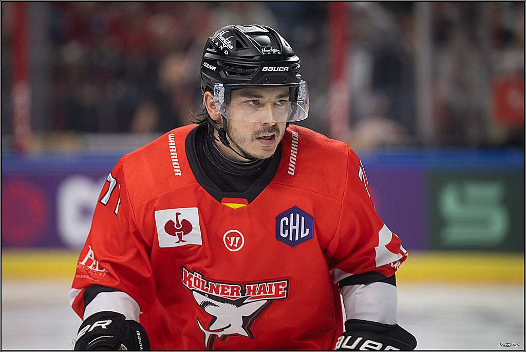 CHL Vorrunde; Kölner Haie - Frölunda HC; Köln, 10.09.2026