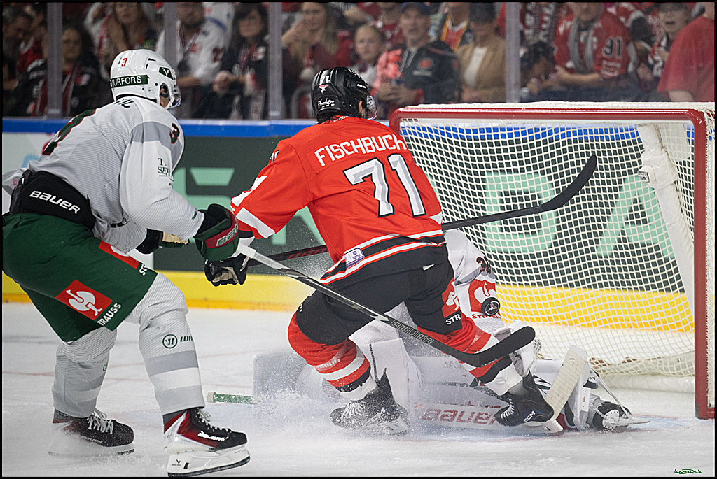 CHL Vorrunde; Kölner Haie - Frölunda HC; Köln, 10.09.2026