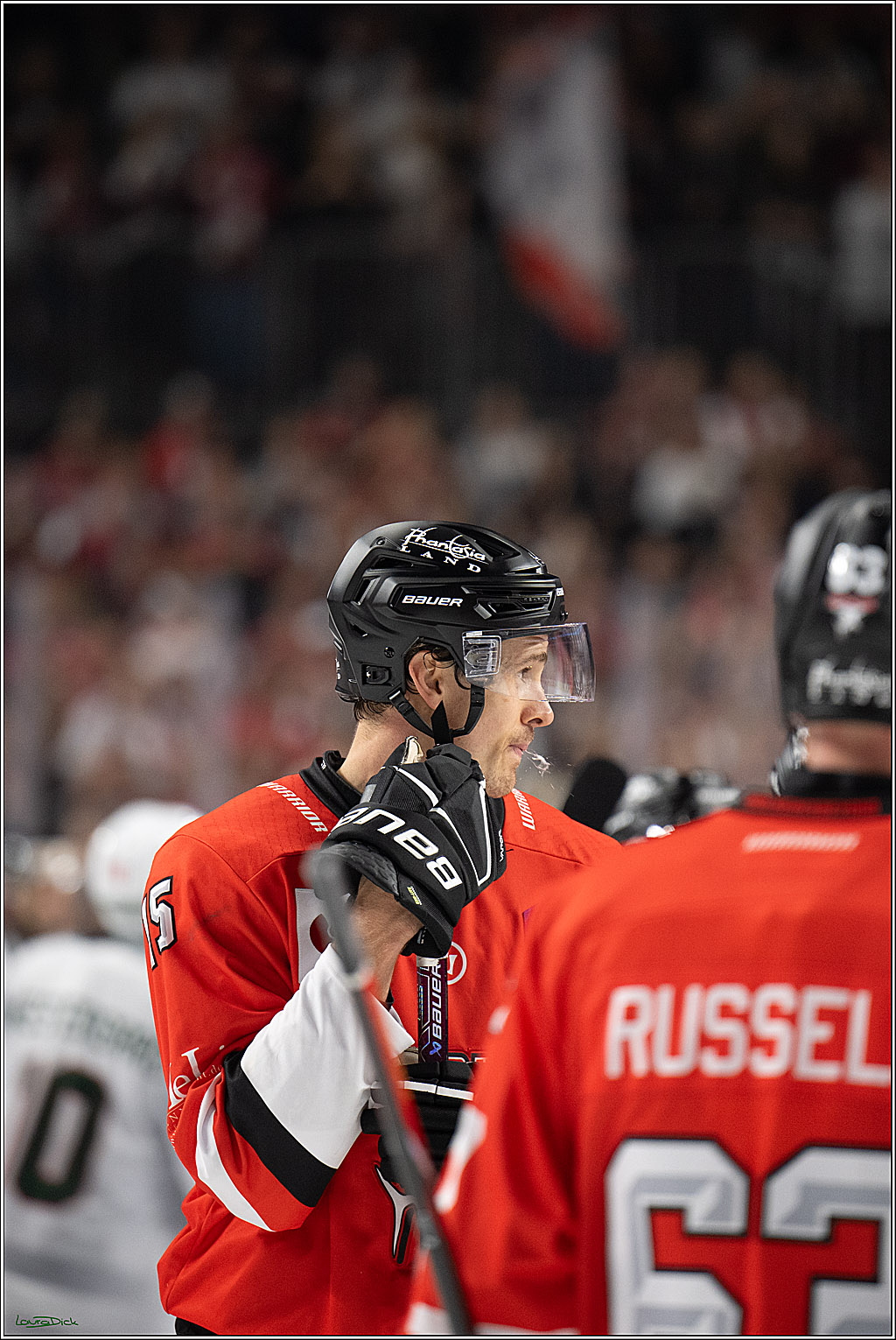 CHL Vorrunde; Kölner Haie - Frölunda HC; Köln, 10.09.2026
