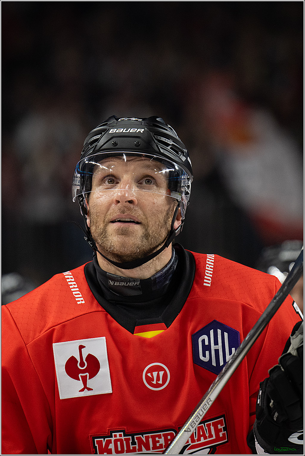 CHL Vorrunde; Kölner Haie - Frölunda HC; Köln, 10.09.2026