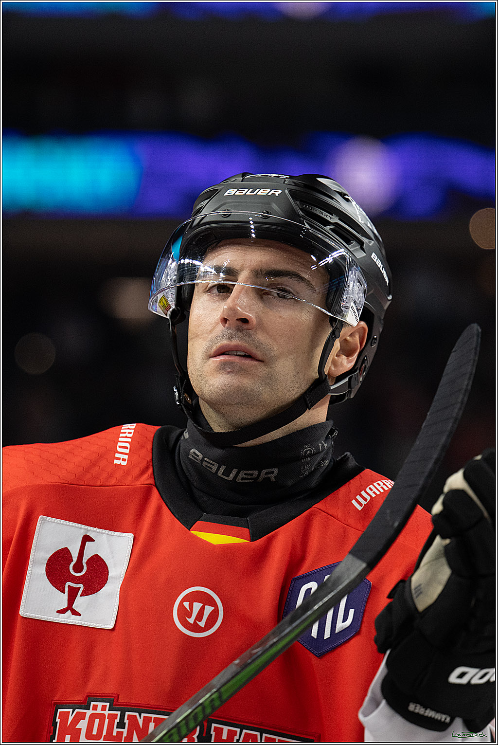 CHL Vorrunde; Kölner Haie - Frölunda HC; Köln, 10.09.2026