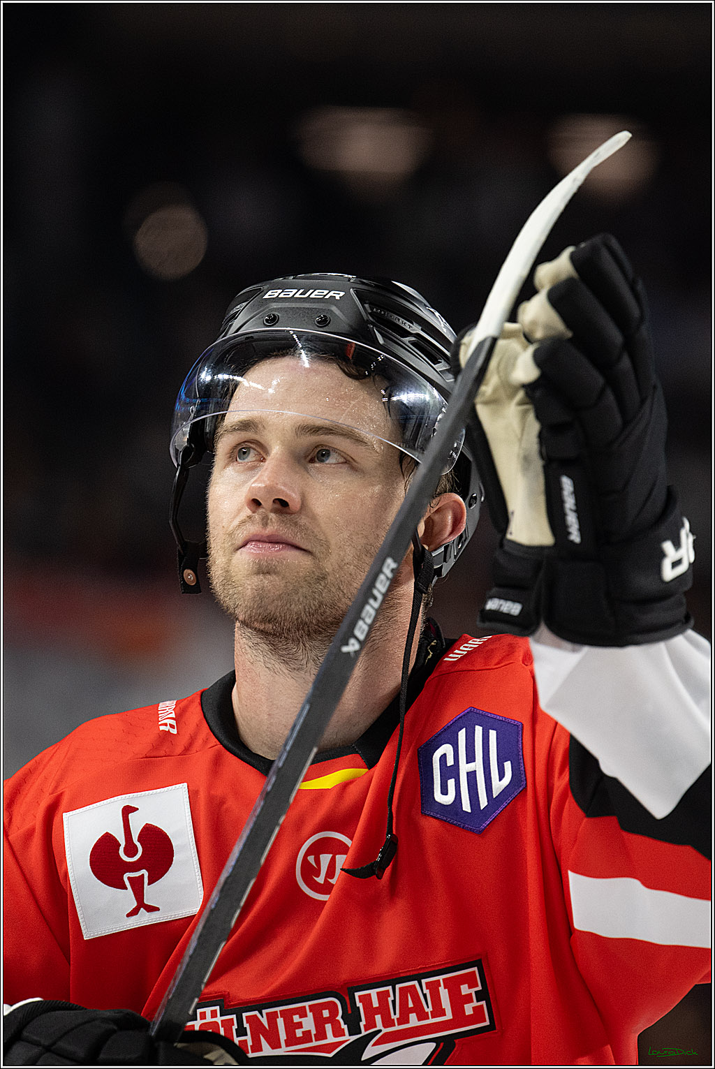 CHL Vorrunde; Kölner Haie - Frölunda HC; Köln, 10.09.2026