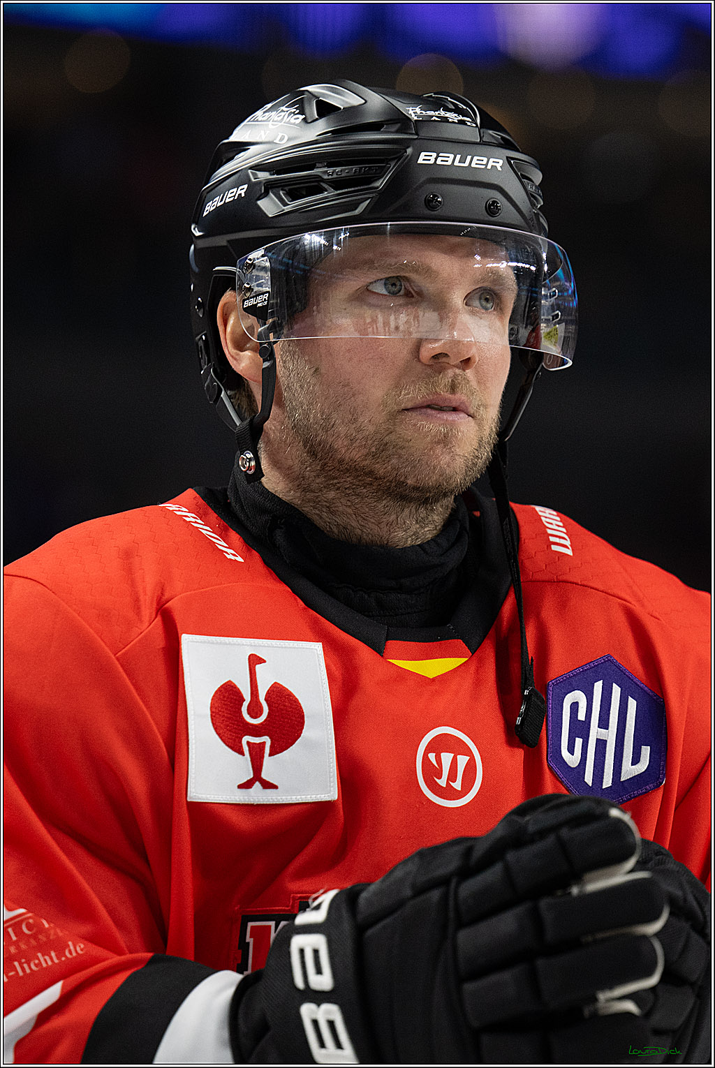 CHL Vorrunde; Kölner Haie - Frölunda HC; Köln, 10.09.2026