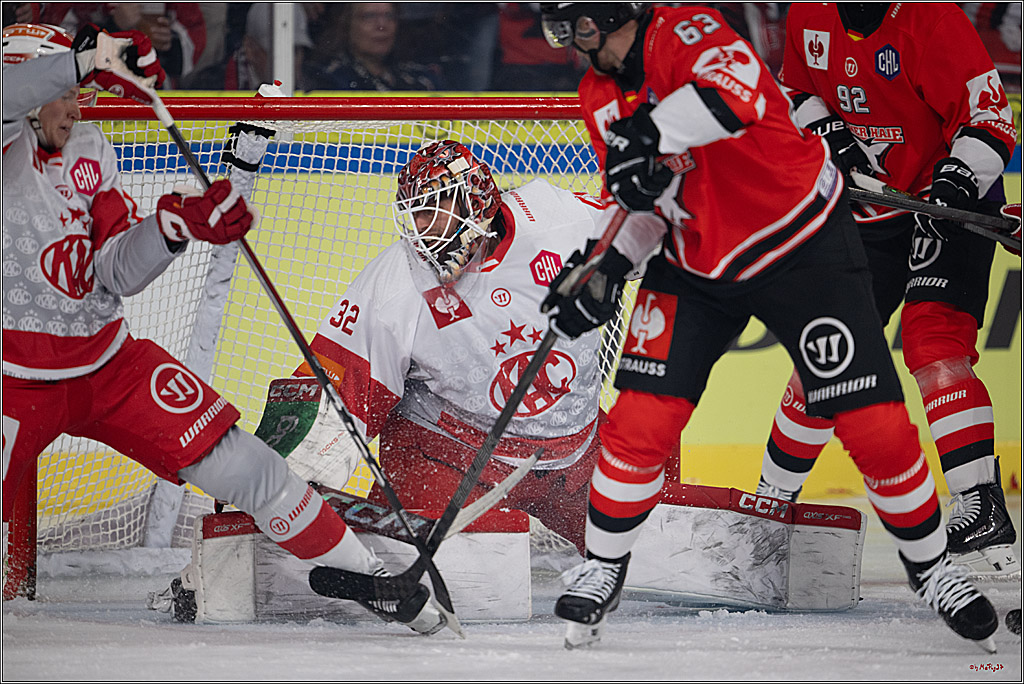 CHL Vorrunde; Kölner Haie - KAC Klagenfurt; Krefeld, 12.09.2026