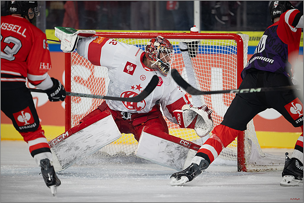 CHL Vorrunde; Kölner Haie - KAC Klagenfurt; Krefeld, 12.09.2026