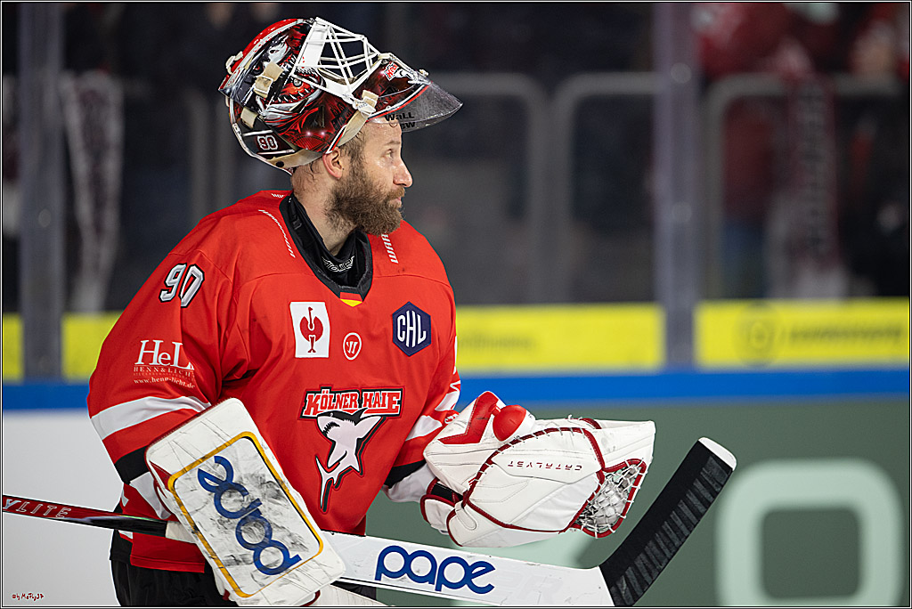 CHL Vorrunde; Kölner Haie - KAC Klagenfurt; Krefeld, 12.09.2026